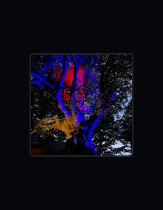 Écoutez ひさの, regardez des vidéoclips, lisez la biographie, consultez les dates de tournée et plus encore !