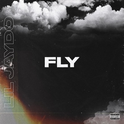 Fly - Single
