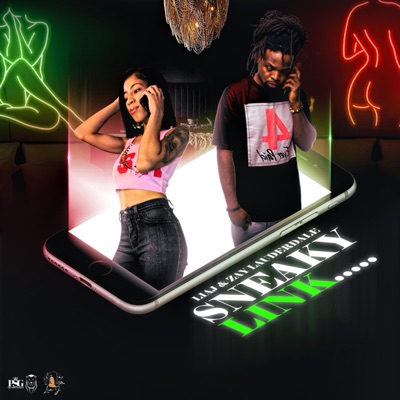 Sneaky Link (feat. ZayLauderdale) - Single