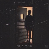 The Old You artwork