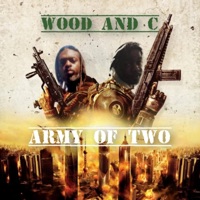 The Island Song (still my baby!) - Single - Wood & C