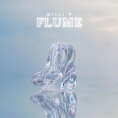 Flume artwork