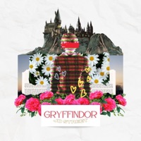 Gryffindor - Single - JD Street