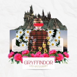 Gryffindor JD Street