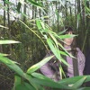 sanpietrini - Single