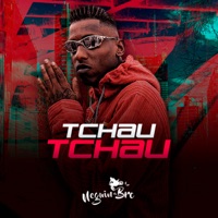 Tchau Tchau - Single - Mc Neguin da BRC & MC Guiga