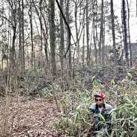 Psycho, Pt. 2 / Toll - Single - JO$H2LIT