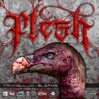 Flesh - BLSFMS & Triangulum
