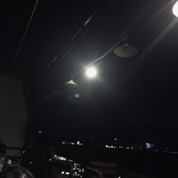 Những Ngày Thu Không Trở Lại. - Single - Vương Cây