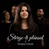 Grupul Voces - Sterge-Ti Plansul