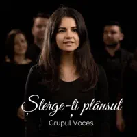 Șterge