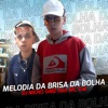 Melodia Da Brisa Da Bolha (feat. MC Gw) - Single