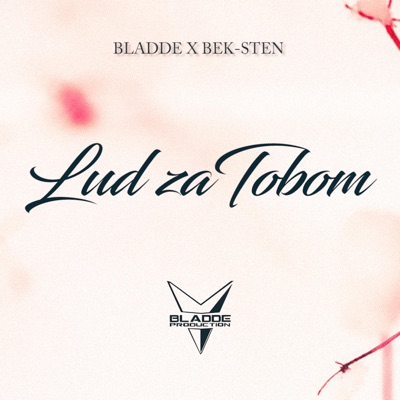 Lud za tobom (feat. Bek-Sten) - Single
