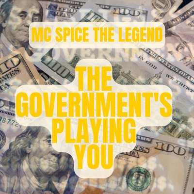 The Government's Playing You - Single