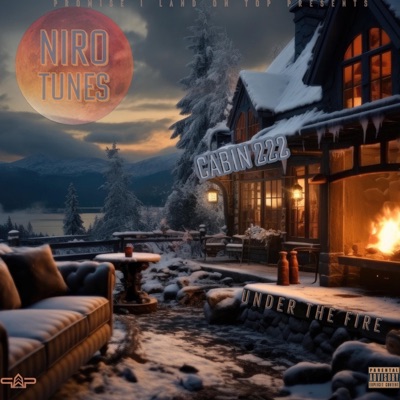 Cabin 222 Under The Fire