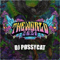 The World 2021 (2021 Remastered version) - Single - DJ Pøssycat