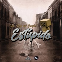 Estupido - Single - Dflowmusik, La Voz Del Caribe & Ufology musik