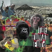 The Human Fund - Black Licorice