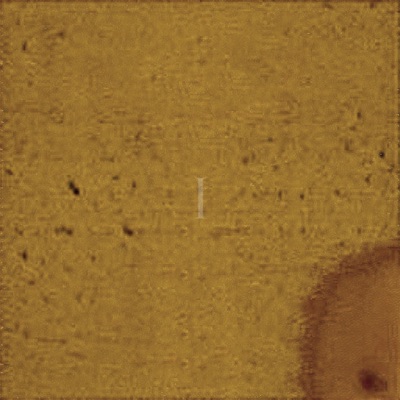 Somewhere New - Single