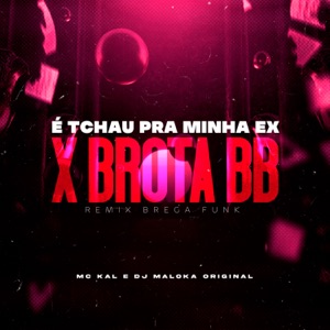 É Tchau pra Minha Ex X Brota Bebê (Remix Brega Funk)