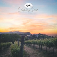 Cleaning Soul - Arte Fiorente Resistente