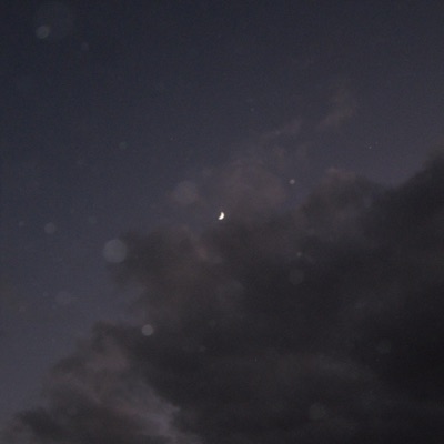 Sammu Koibito - Te amo y . (feat. A. R.)