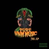 Pure VNM Music: The EP