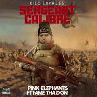 Pink Elephants (feat. Fame Tha Don) - Single - Kilo express