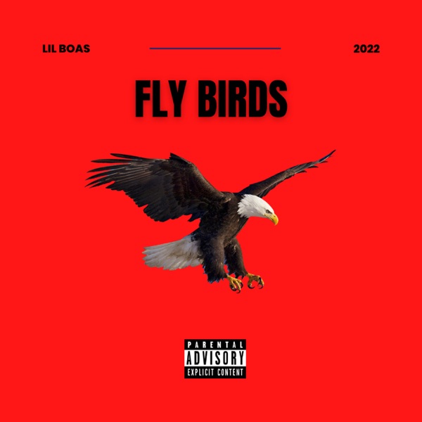 Fly Birds
