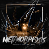 Metamorphosis (Speed Up) artwork