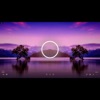 Hype - Single