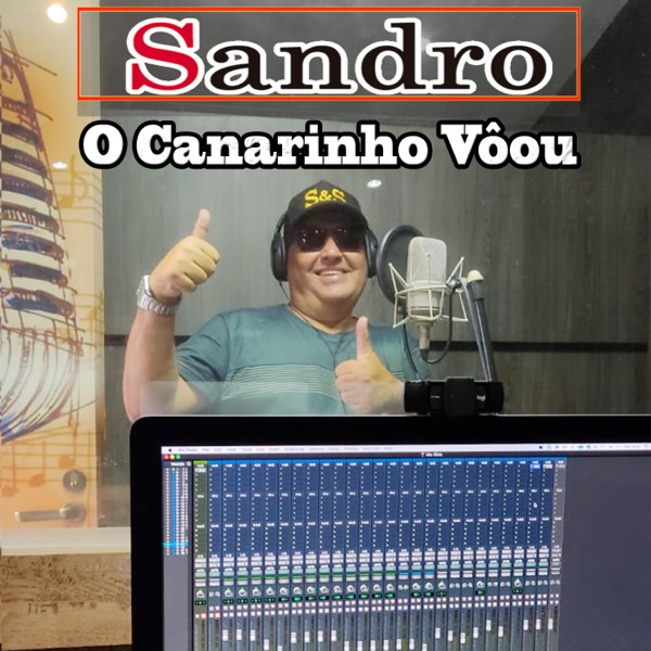 O Canarinho Voou