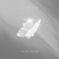 Okay Okay - Single - Eli Brady