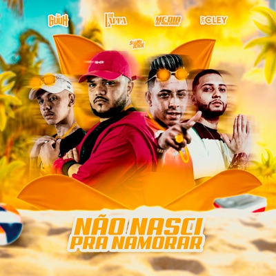 Não Nasci pra Namorar - Single