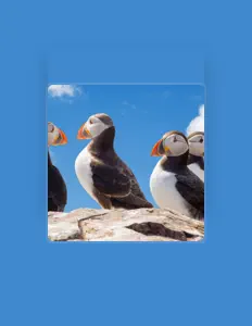 Ακούστε περιεχόμενο από Zayden Bradley, παρακολουθήστε μουσικά βίντεο, διαβάστε το βιογραφικό, δείτε ημερομηνίες περιοδείας, και πολλά ακόμη!