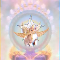 Listen to Akira Seino, watch music videos, read bio, see tour dates & more!