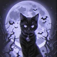 FREEKITTY - Bryan Lay