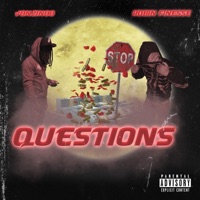 QUESTIONS. (feat. Robin Finesse) - Single - Vonzinoo