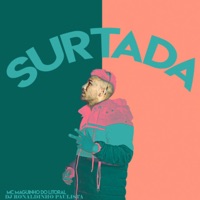 Surtada - Single - Mc Maguinho do Litoral & DJ Ronaldinho Paulista