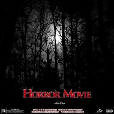 Horror Movie (feat. Von Sage) - Single