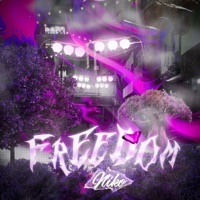 Freedom - Niko