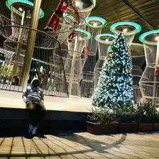 Gcinaを聴いたり、ミュージックビデオを鑑賞したり、経歴やツアー日程などを確認したりしましょう！