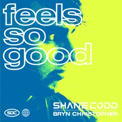 Feels So Good - Single