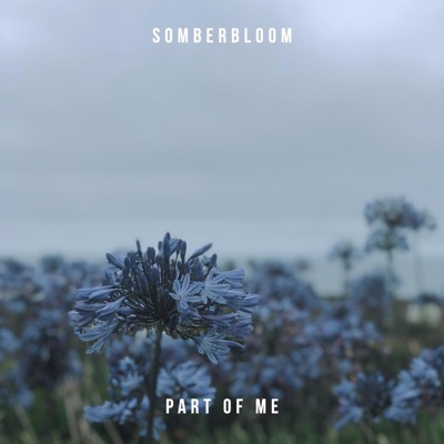 Part of Me (Alternate Version) - Single