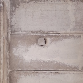 повелитель мух Культульпа