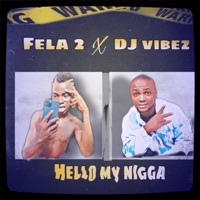 Hello My N***a (feat. Dj vibez) - Single - Fela 2