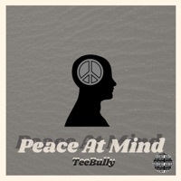 Peace At Mind - Single - TeeBully
