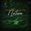 Birds Singing (Yoga Music) - Healing Rain Sounds