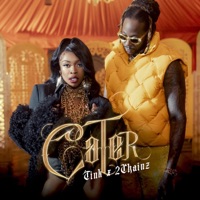 Cater - Single - Tink & 2 Chainz
