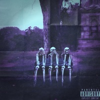 Divine Paradise (feat. A.M.E.C.K., DAWGTOWN & Dazigus) - Single - BOONE